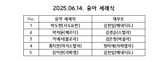 스크린샷 2025-06-21 142251.png