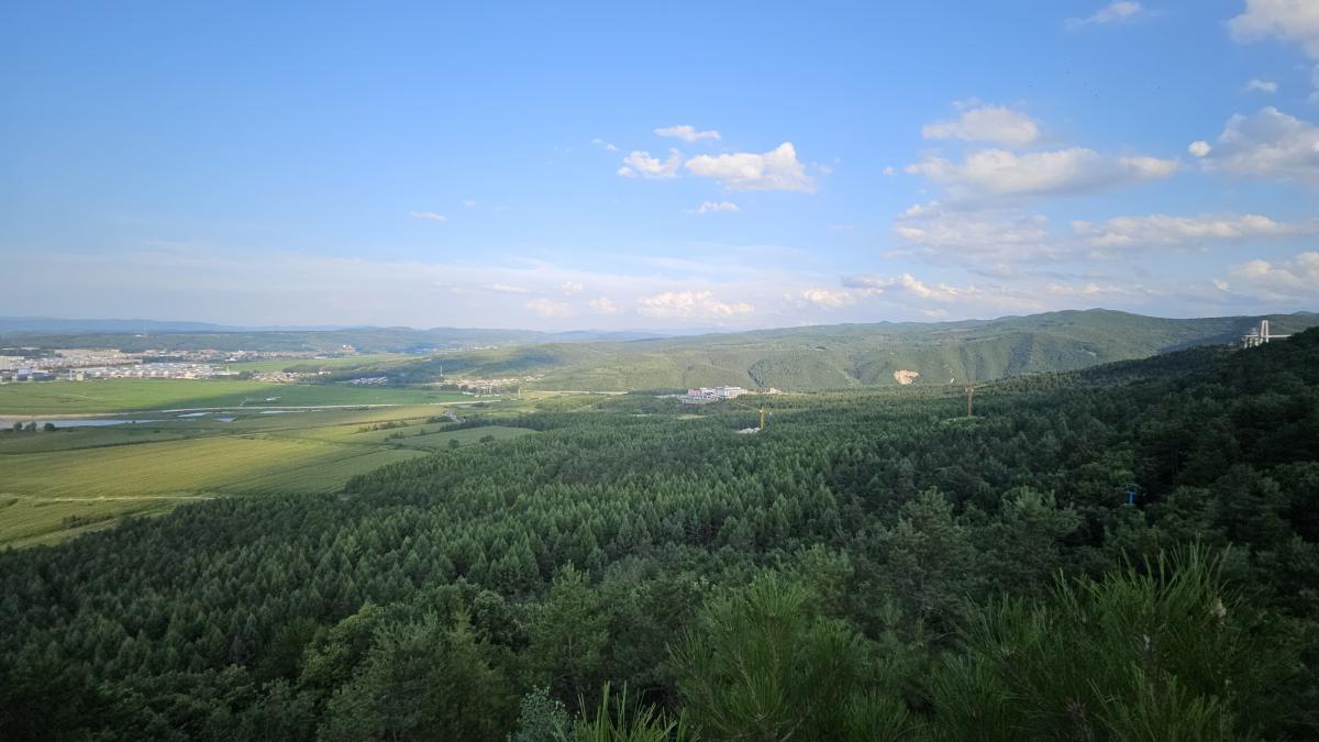 1722595110453.jpg