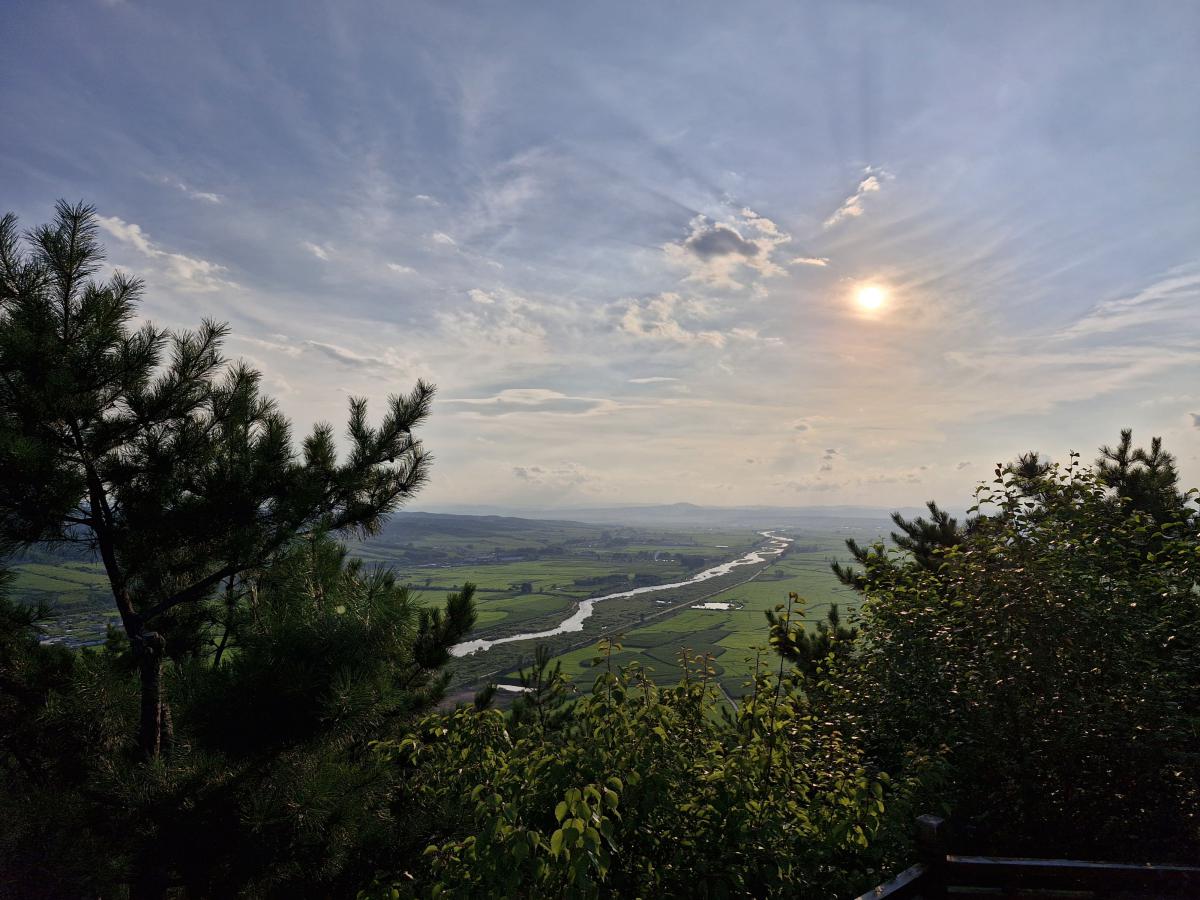 20240801_171653.jpg