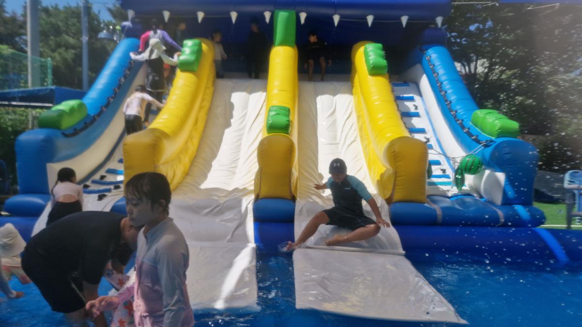 20250823_133553.jpg